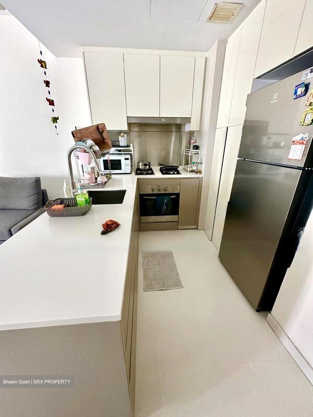 Hedges Park Condominium (D17), Condominium #501741451